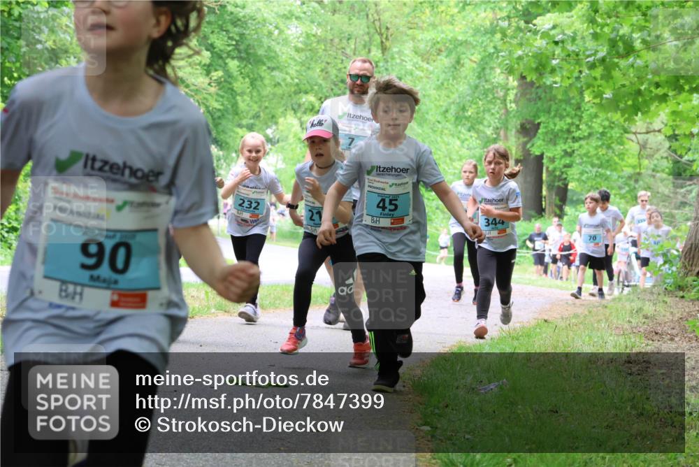17.05.2025 - Störlauf Strokosch-Dieckow http://msf.ph/oto/7847399 17.05.2025 13:41:35 Laufen 232, 21, 2025, 45, 90, 344 meine-sportfotos.de