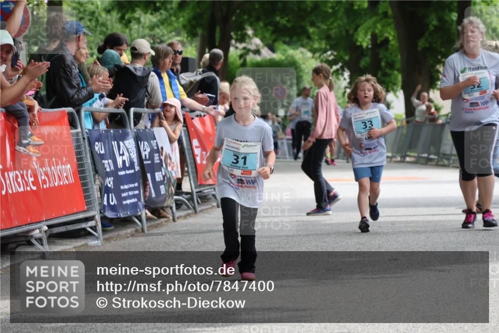 17.05.2025 - Störlauf Strokosch-Dieckow http://msf.ph/oto/7847400 17.05.2025 13:47:05 Ziel 40, 31, 33, 3 meine-sportfotos.de