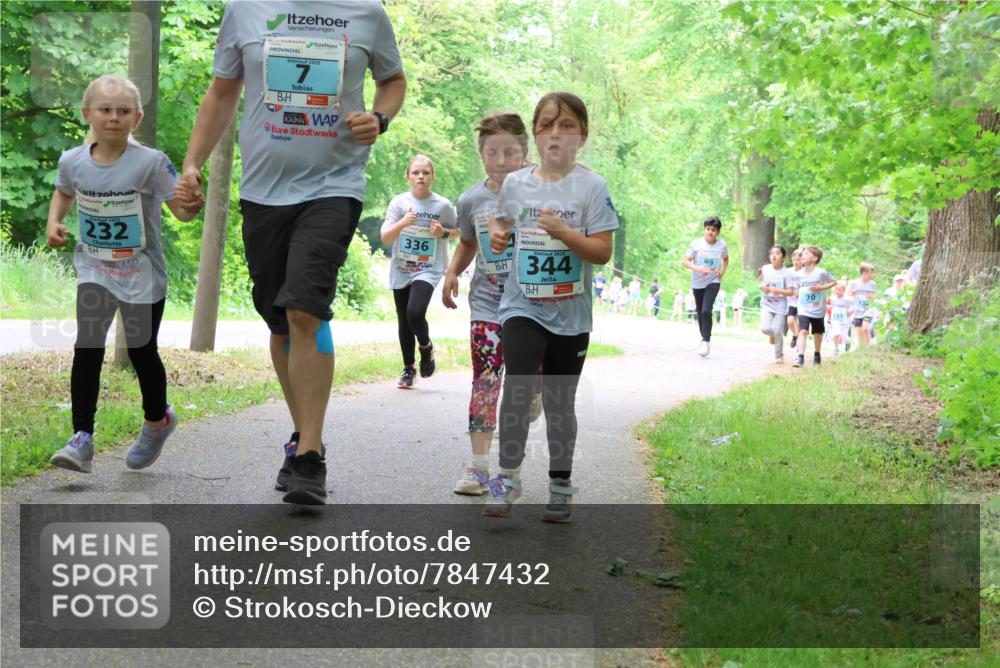 17.05.2025 - Störlauf Strokosch-Dieckow http://msf.ph/oto/7847432 17.05.2025 13:41:38 Laufen 232, 2025, 336, 2025, 344, 99, 70 meine-sportfotos.de