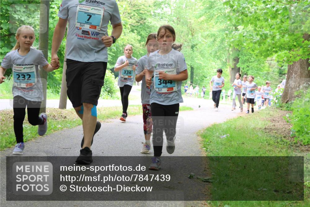 17.05.2025 - Störlauf Strokosch-Dieckow http://msf.ph/oto/7847439 17.05.2025 13:41:39 Laufen 2025, 232, 2025, 336, 344, 99 meine-sportfotos.de