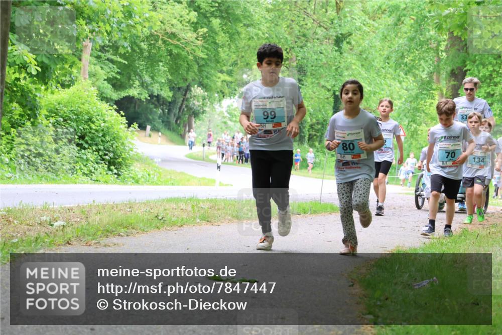 17.05.2025 - Störlauf Strokosch-Dieckow http://msf.ph/oto/7847447 17.05.2025 13:41:43 Laufen 99, 80, 33, 70, 134 meine-sportfotos.de
