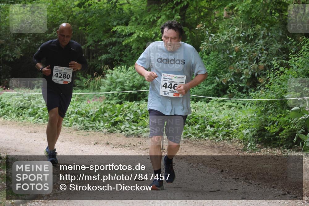 17.05.2025 - Störlauf Strokosch-Dieckow http://msf.ph/oto/7847457 17.05.2025 19:04:59 Laufen 4280, 446 meine-sportfotos.de