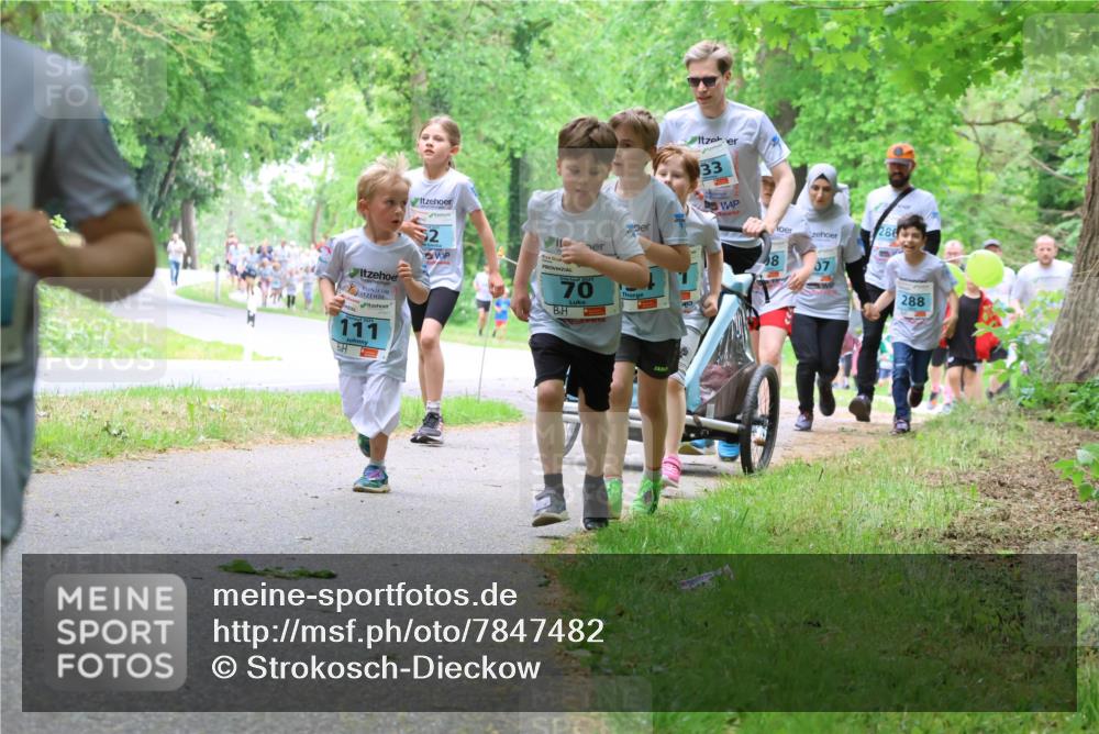 17.05.2025 - Störlauf Strokosch-Dieckow http://msf.ph/oto/7847482 17.05.2025 13:41:46 Laufen 111, 33, 286, 8, 70, 288 meine-sportfotos.de