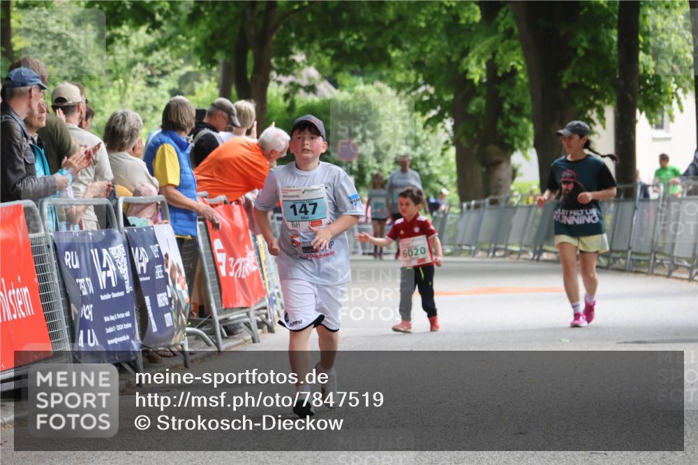 17.05.2025 - Störlauf Strokosch-Dieckow http://msf.ph/oto/7847519 17.05.2025 13:49:40 Ziel 40, 7, 25524, 147, 6020 meine-sportfotos.de