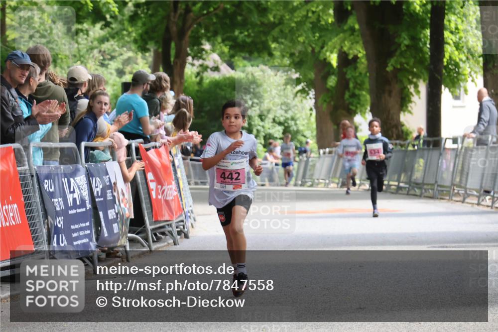 17.05.2025 - Störlauf Strokosch-Dieckow http://msf.ph/oto/7847558 17.05.2025 13:54:09 Ziel 442, 634, 4, 17, 25524 meine-sportfotos.de