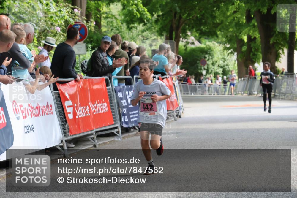 17.05.2025 - Störlauf Strokosch-Dieckow http://msf.ph/oto/7847562 17.05.2025 13:54:11 Ziel 442 meine-sportfotos.de
