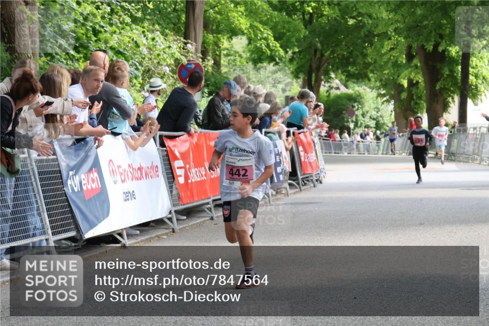 17.05.2025 - Störlauf Strokosch-Dieckow http://msf.ph/oto/7847564 17.05.2025 13:54:12 Ziel 442 meine-sportfotos.de
