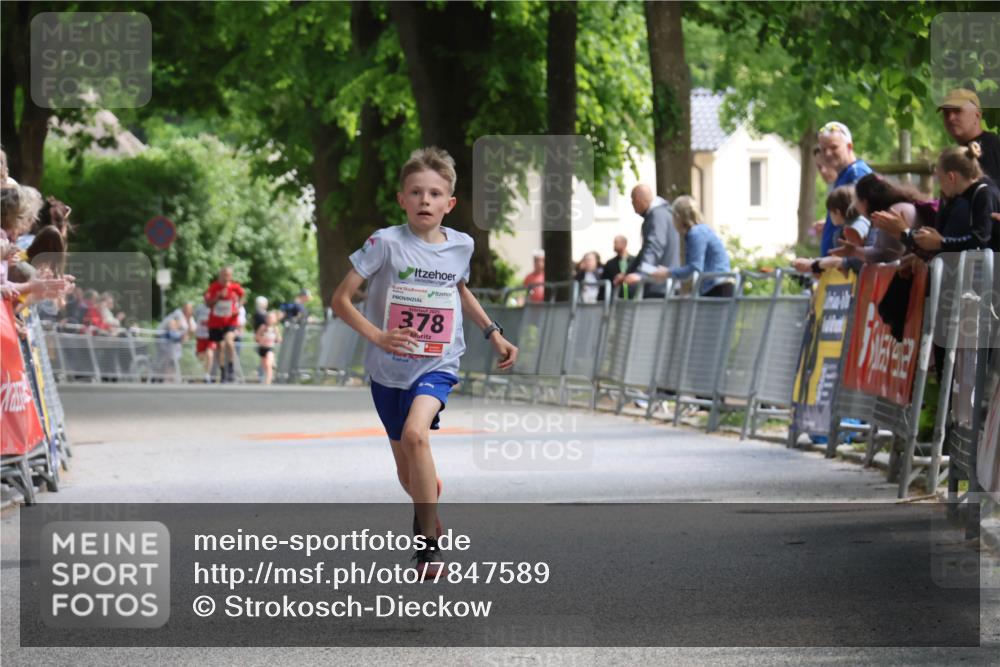 17.05.2025 - Störlauf Strokosch-Dieckow http://msf.ph/oto/7847589 17.05.2025 13:54:24 Ziel 378 meine-sportfotos.de