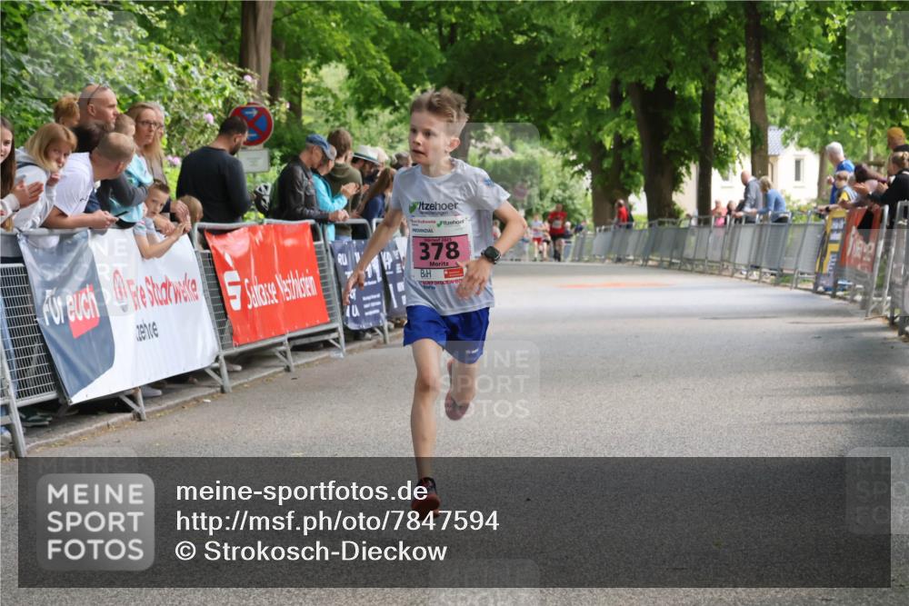 17.05.2025 - Störlauf Strokosch-Dieckow http://msf.ph/oto/7847594 17.05.2025 13:54:27 Ziel 4221, 378 meine-sportfotos.de