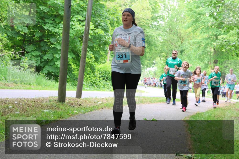 17.05.2025 - Störlauf Strokosch-Dieckow http://msf.ph/oto/7847599 17.05.2025 13:42:05 Laufen 331, 4745, 268, 259, 318 meine-sportfotos.de