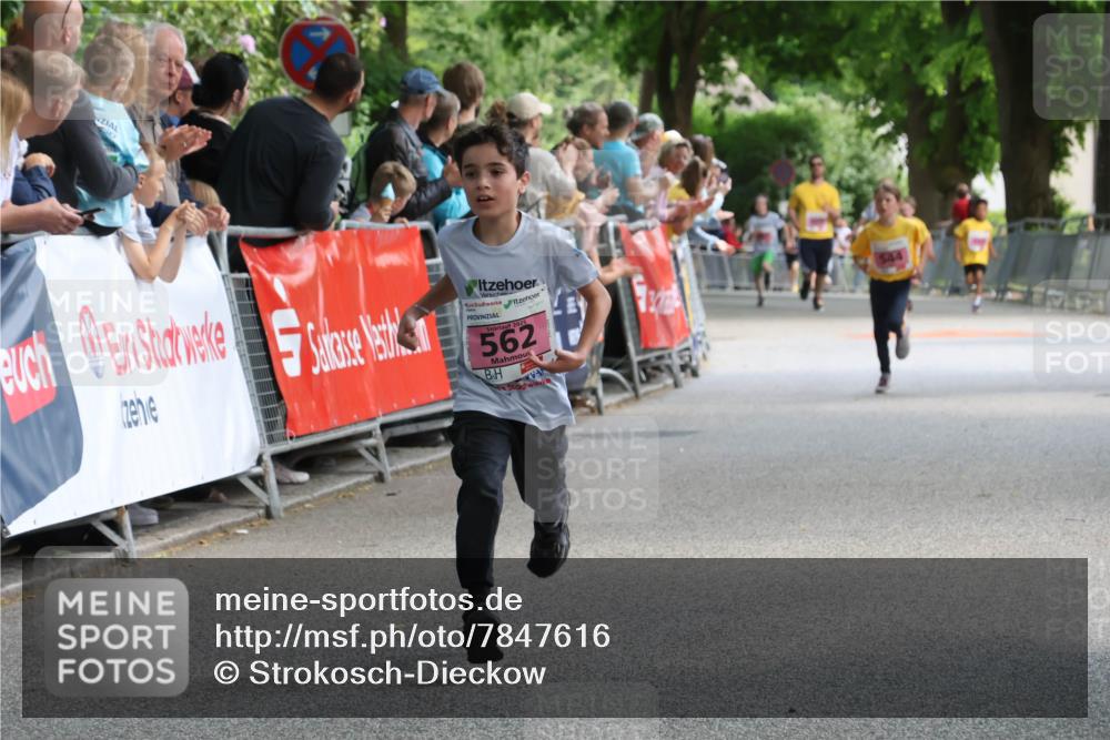 17.05.2025 - Störlauf Strokosch-Dieckow http://msf.ph/oto/7847616 17.05.2025 13:54:55 Ziel 2025, 562, 544 meine-sportfotos.de