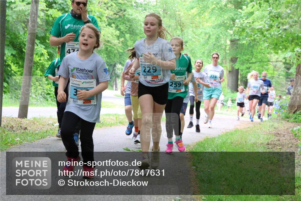 17.05.2025 - Störlauf Strokosch-Dieckow http://msf.ph/oto/7847631 17.05.2025 13:42:08 Laufen 202, 47, 2025, 2025, 229, 259, 5, 228, 368 meine-sportfotos.de