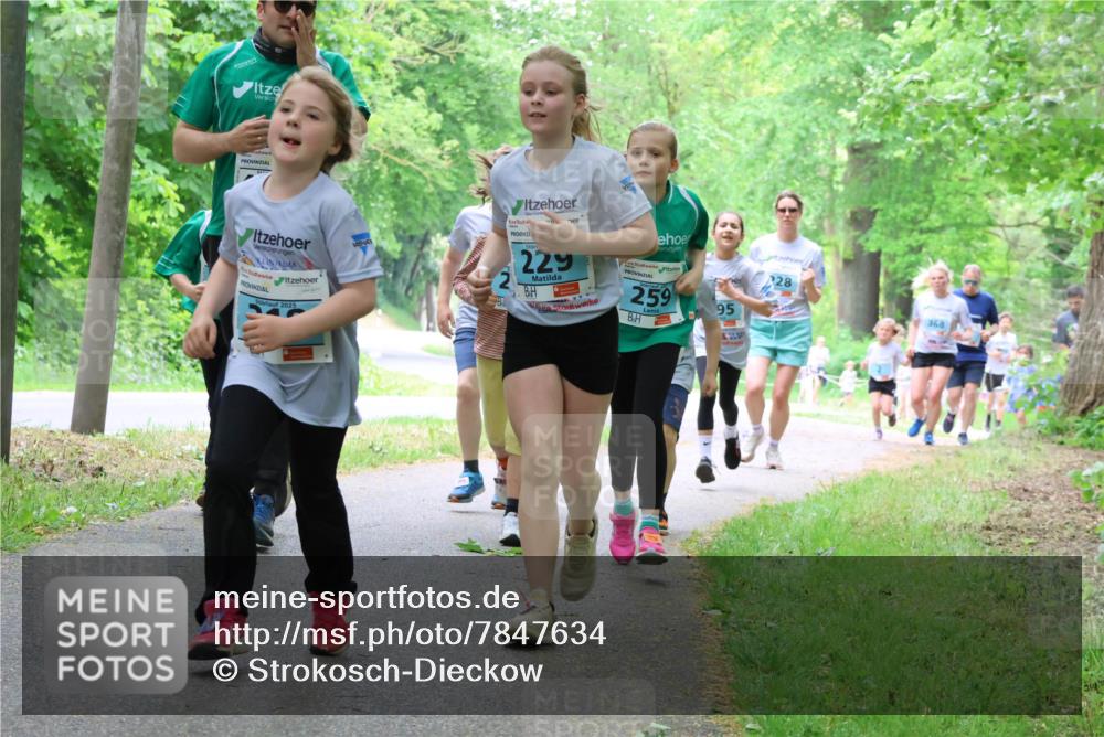 17.05.2025 - Störlauf Strokosch-Dieckow http://msf.ph/oto/7847634 17.05.2025 13:42:08 Laufen 2025, 229, 259, 95, 28, 368 meine-sportfotos.de