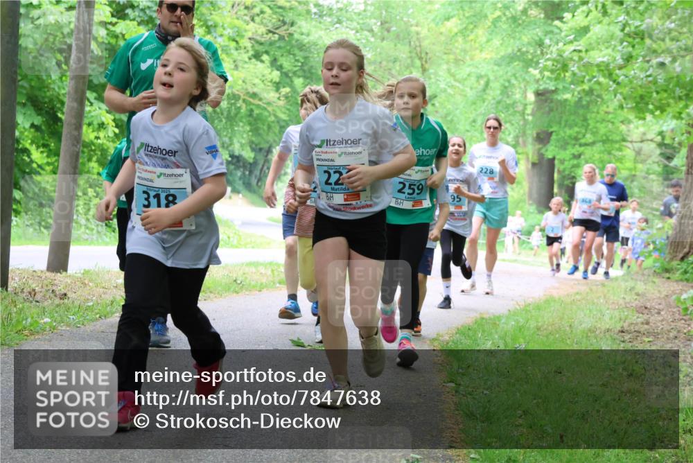 17.05.2025 - Störlauf Strokosch-Dieckow http://msf.ph/oto/7847638 17.05.2025 13:42:08 Laufen 2025, 318, 20, 22, 259, 228, 95 meine-sportfotos.de