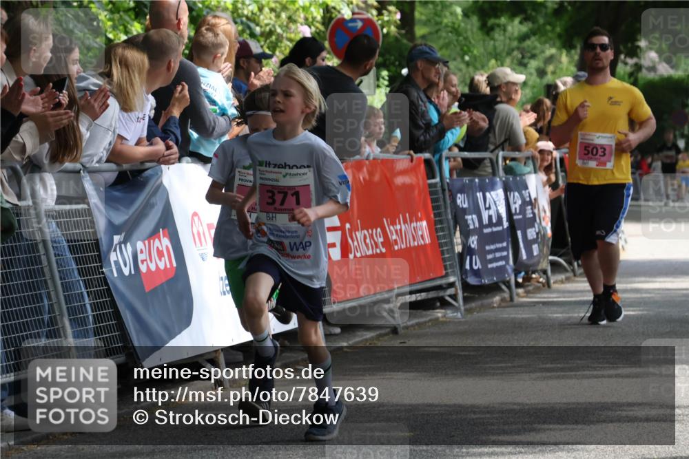 17.05.2025 - Störlauf Strokosch-Dieckow http://msf.ph/oto/7847639 17.05.2025 13:55:06 Ziel 2025, 371, 55, 503 meine-sportfotos.de