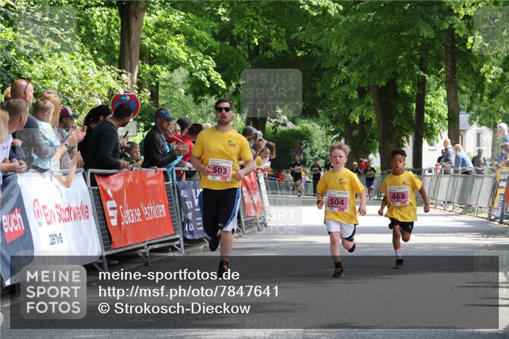 17.05.2025 - Störlauf Strokosch-Dieckow http://msf.ph/oto/7847641 17.05.2025 13:55:06 Ziel 503, 504, 468 meine-sportfotos.de