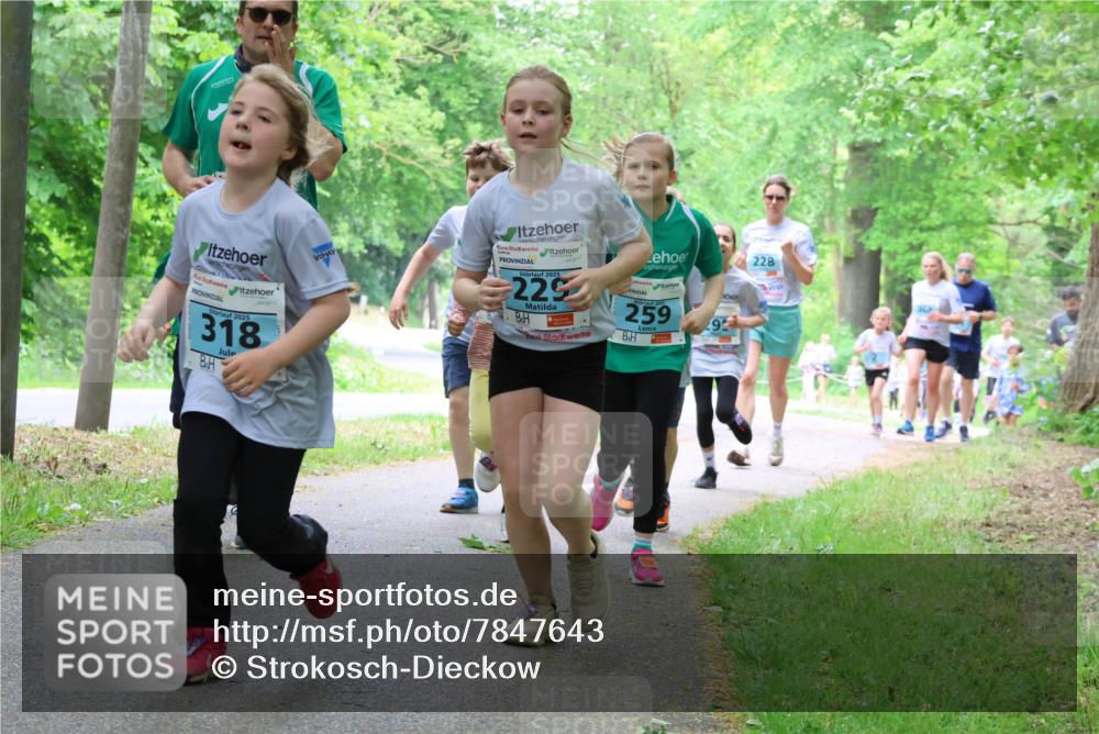 17.05.2025 - Störlauf Strokosch-Dieckow http://msf.ph/oto/7847643 17.05.2025 13:42:09 Laufen 2025, 318, 2025, 229, 2025, 259, 10, 92, 228 meine-sportfotos.de