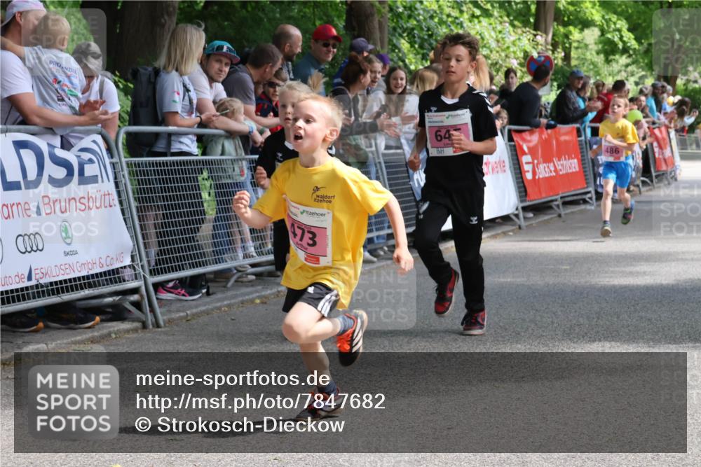17.05.2025 - Störlauf Strokosch-Dieckow http://msf.ph/oto/7847682 17.05.2025 13:55:27 Ziel 473, 64, 486 meine-sportfotos.de