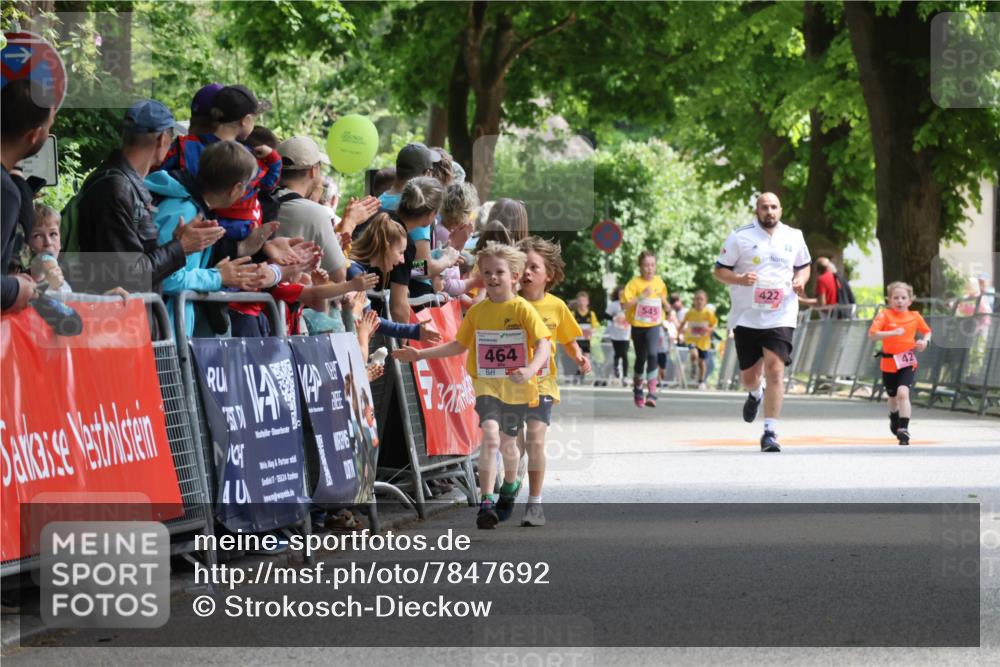 17.05.2025 - Störlauf Strokosch-Dieckow http://msf.ph/oto/7847692 17.05.2025 13:55:34 Ziel 464, 545, 422 meine-sportfotos.de