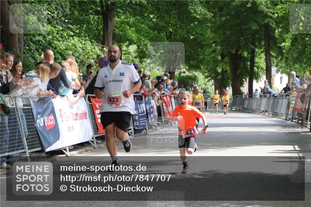17.05.2025 - Störlauf Strokosch-Dieckow http://msf.ph/oto/7847707 17.05.2025 13:55:43 Ziel 422, 545, 537 meine-sportfotos.de