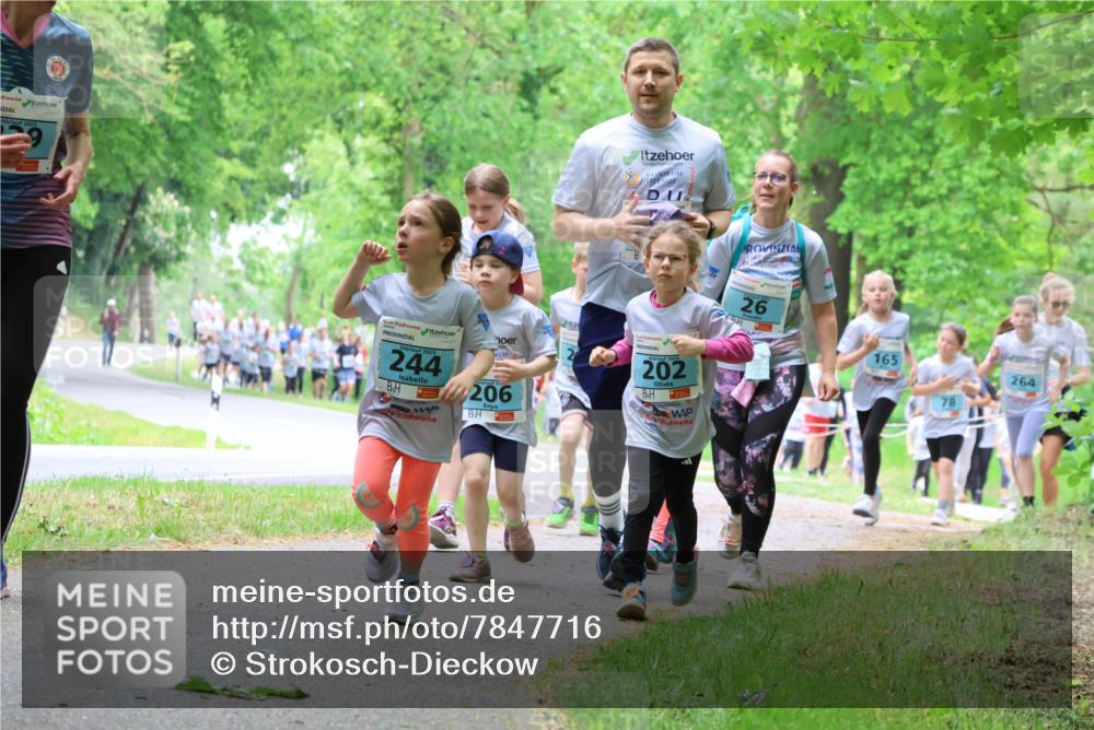17.05.2025 - Störlauf Strokosch-Dieckow http://msf.ph/oto/7847716 17.05.2025 13:42:28 Laufen 2025, 244, 206, 202, 26, 165, 264 meine-sportfotos.de