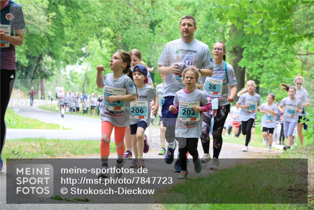 17.05.2025 - Störlauf Strokosch-Dieckow http://msf.ph/oto/7847723 17.05.2025 13:42:28 Laufen 2, 2025, 206, 26, 2025, 202, 65, 264 meine-sportfotos.de