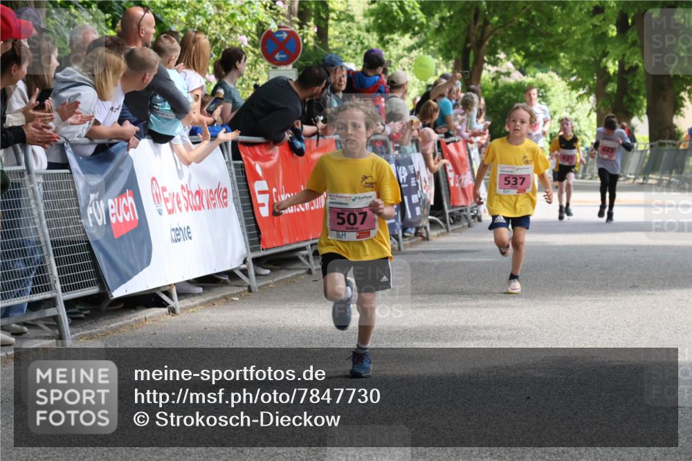 17.05.2025 - Störlauf Strokosch-Dieckow http://msf.ph/oto/7847730 17.05.2025 13:55:52 Ziel 2025, 507, 537 meine-sportfotos.de