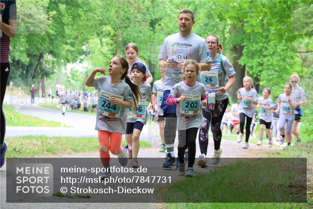 17.05.2025 - Störlauf Strokosch-Dieckow http://msf.ph/oto/7847731 17.05.2025 13:42:28 Laufen 26, 244, 6, 2025, 202, 165, 264 meine-sportfotos.de