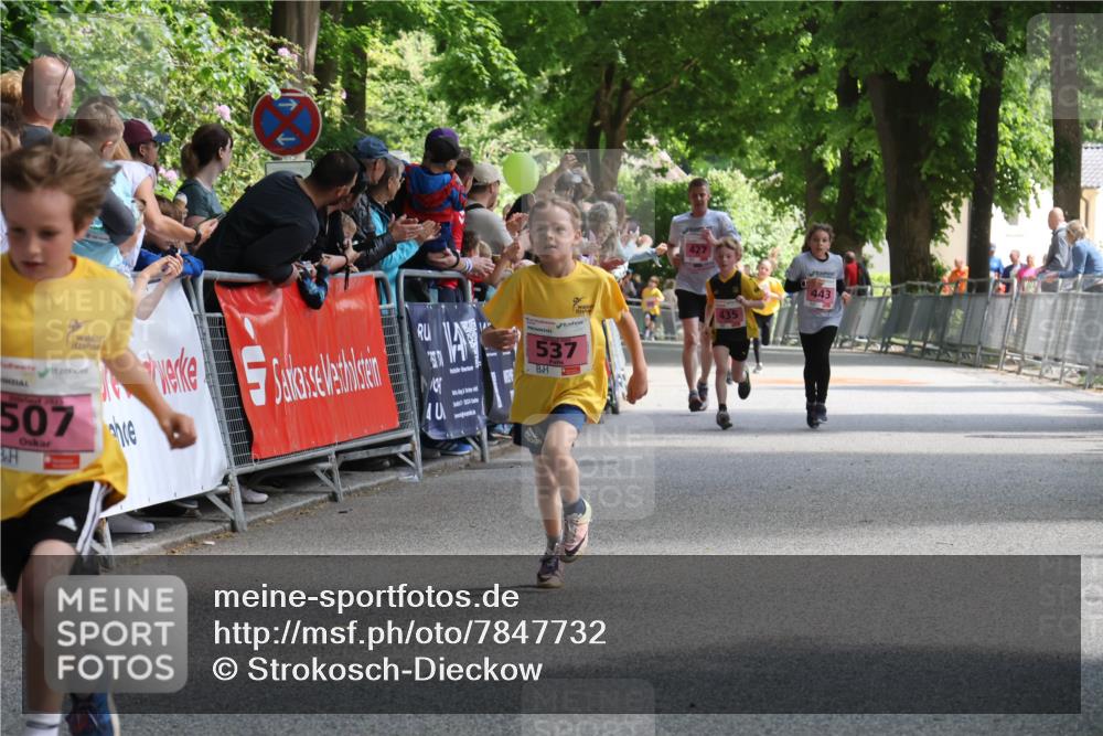 17.05.2025 - Störlauf Strokosch-Dieckow http://msf.ph/oto/7847732 17.05.2025 13:55:53 Ziel 202, 507, 537, 443, 435 meine-sportfotos.de