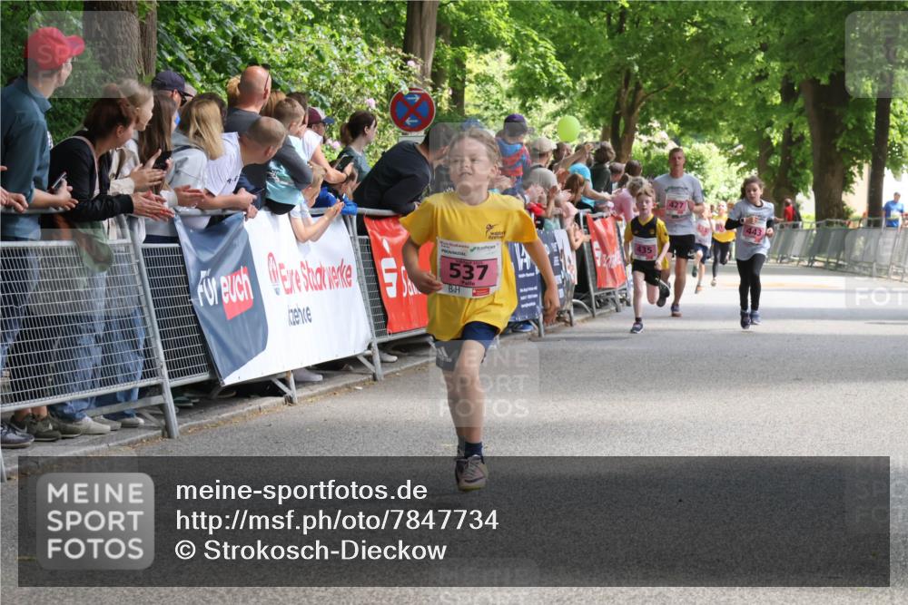 17.05.2025 - Störlauf Strokosch-Dieckow http://msf.ph/oto/7847734 17.05.2025 13:55:55 Ziel 537, 435, 443 meine-sportfotos.de