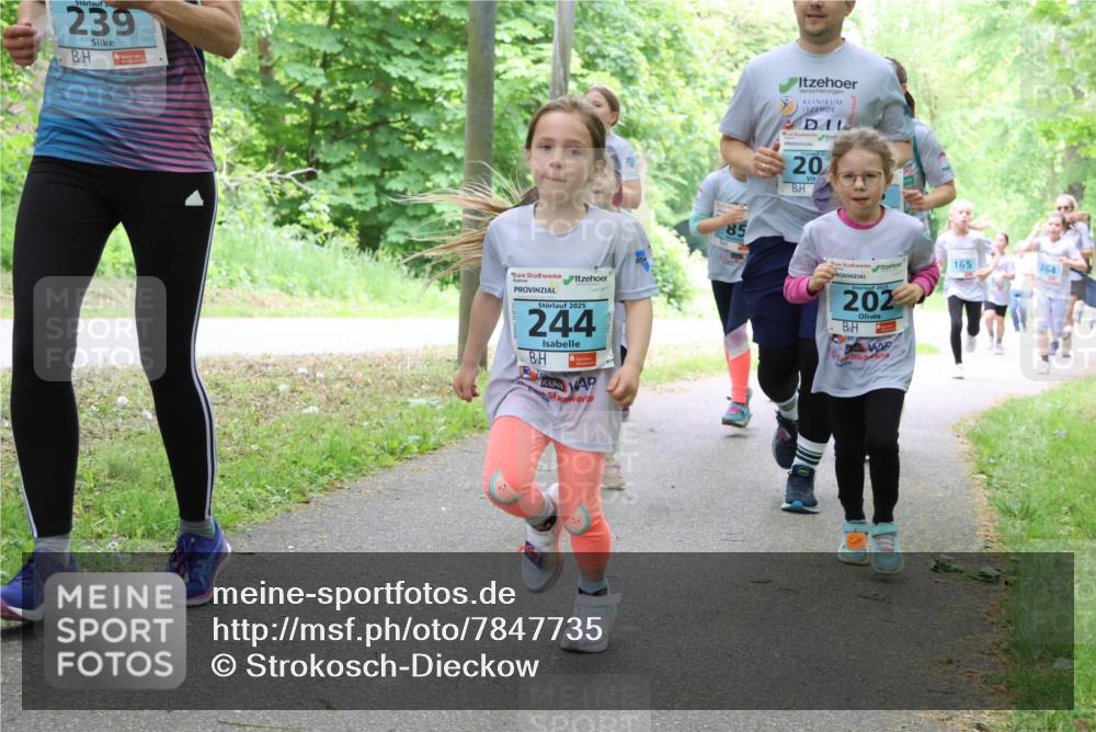 17.05.2025 - Störlauf Strokosch-Dieckow http://msf.ph/oto/7847735 17.05.2025 13:42:32 Laufen 239, 2025, 244, 20, 85, 2025, 202, 165, 264 meine-sportfotos.de