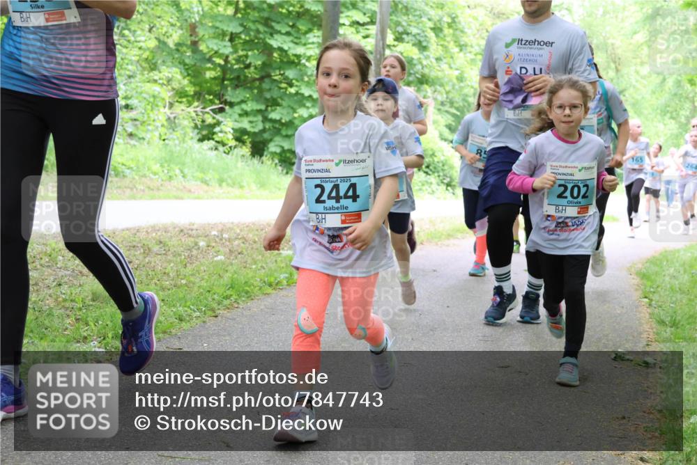 17.05.2025 - Störlauf Strokosch-Dieckow http://msf.ph/oto/7847743 17.05.2025 13:42:32 Laufen 2025, 244, 85, 2025, 202, 1429, 165 meine-sportfotos.de