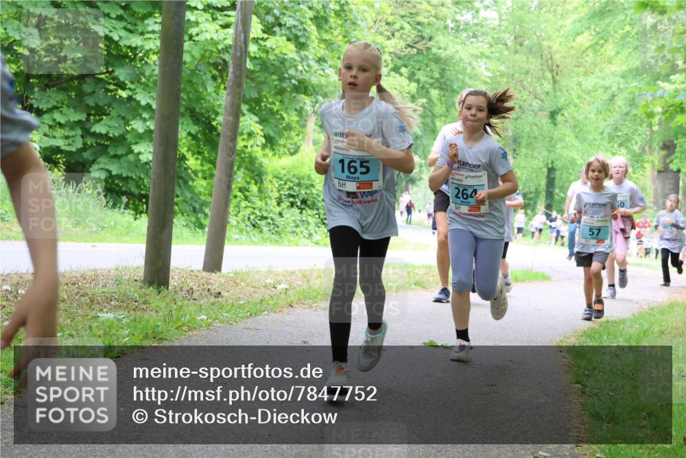 17.05.2025 - Störlauf Strokosch-Dieckow http://msf.ph/oto/7847752 17.05.2025 13:42:36 Laufen 2025, 165, 264, 60, 57 meine-sportfotos.de