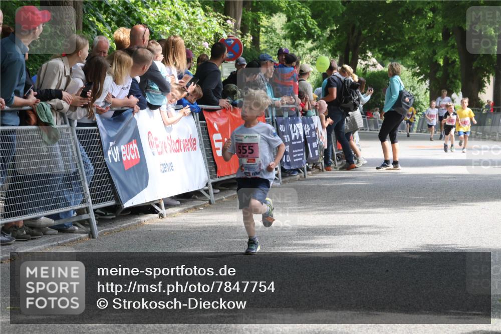 17.05.2025 - Störlauf Strokosch-Dieckow http://msf.ph/oto/7847754 17.05.2025 13:56:05 Ziel 555 meine-sportfotos.de