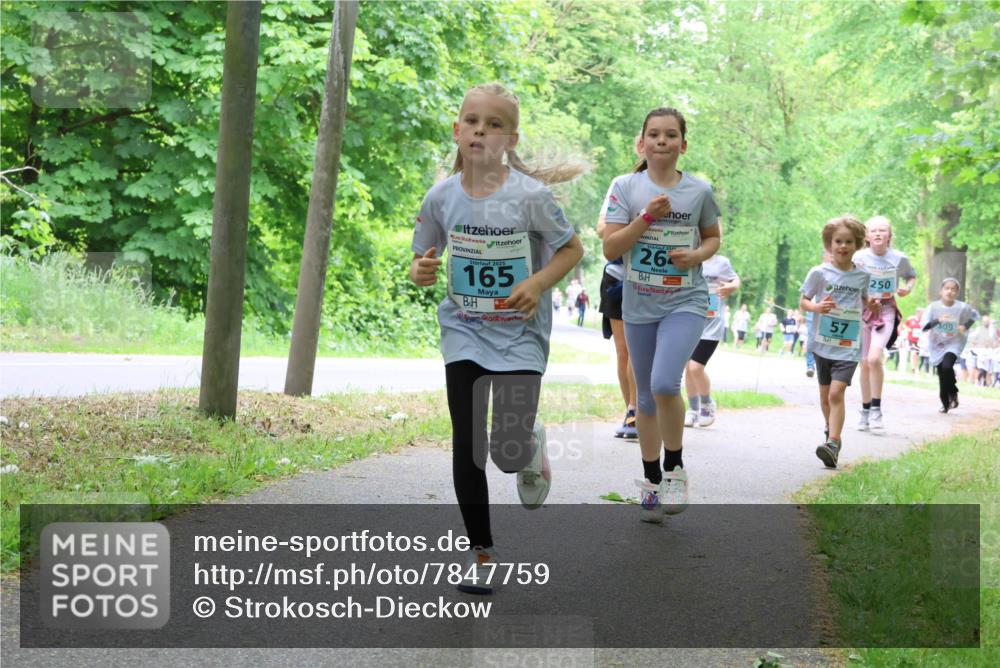 17.05.2025 - Störlauf Strokosch-Dieckow http://msf.ph/oto/7847759 17.05.2025 13:42:36 Laufen 2025, 165, 26, 250, 57 meine-sportfotos.de