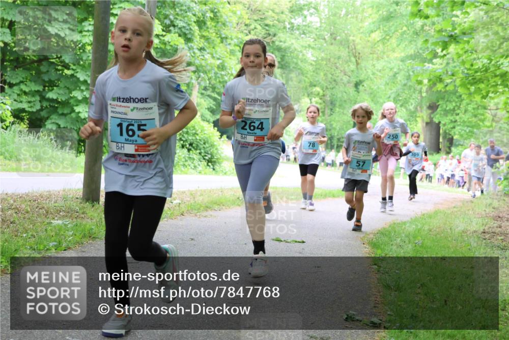17.05.2025 - Störlauf Strokosch-Dieckow http://msf.ph/oto/7847768 17.05.2025 13:42:37 Laufen 2025, 165, 2025, 264, 250, 78, 57, 309 meine-sportfotos.de