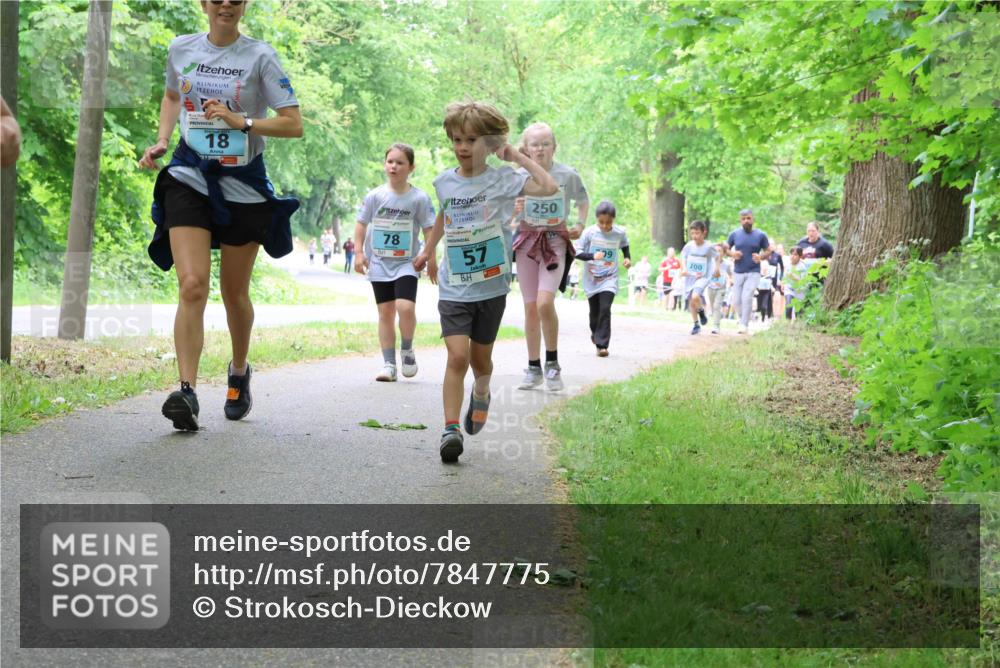 17.05.2025 - Störlauf Strokosch-Dieckow http://msf.ph/oto/7847775 17.05.2025 13:42:38 Laufen 18, 78, 57, 250, 200 meine-sportfotos.de