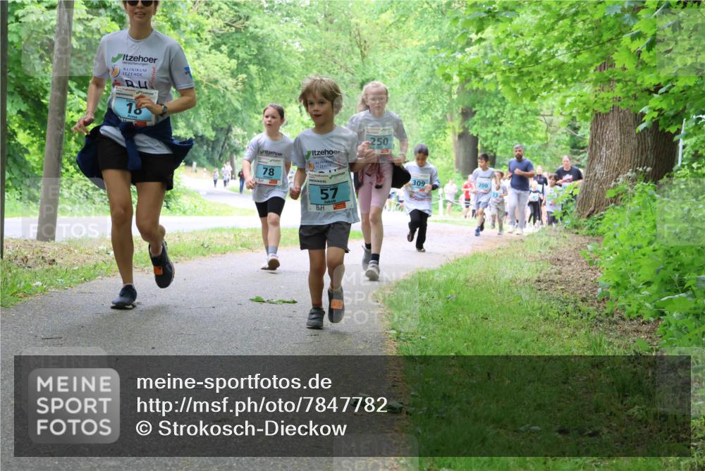 17.05.2025 - Störlauf Strokosch-Dieckow http://msf.ph/oto/7847782 17.05.2025 13:42:38 Laufen 18, 78, 57, 250, 309, 200 meine-sportfotos.de