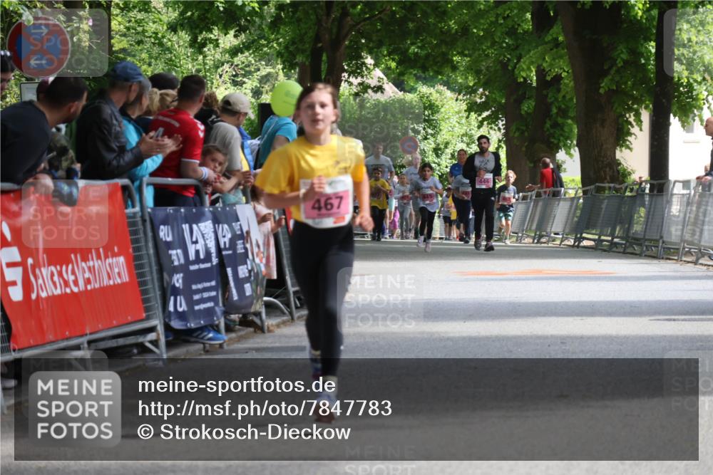 17.05.2025 - Störlauf Strokosch-Dieckow http://msf.ph/oto/7847783 17.05.2025 13:56:26 Ziel 40, 467, 446 meine-sportfotos.de