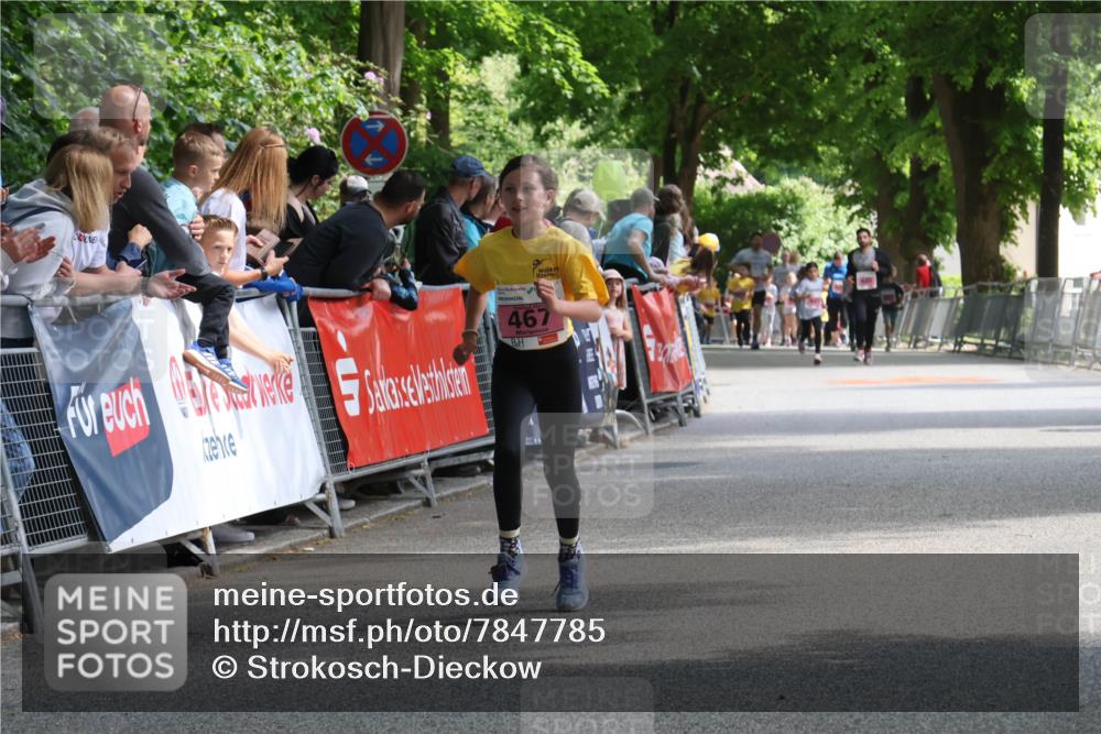17.05.2025 - Störlauf Strokosch-Dieckow http://msf.ph/oto/7847785 17.05.2025 13:56:27 Ziel 2015, 467 meine-sportfotos.de