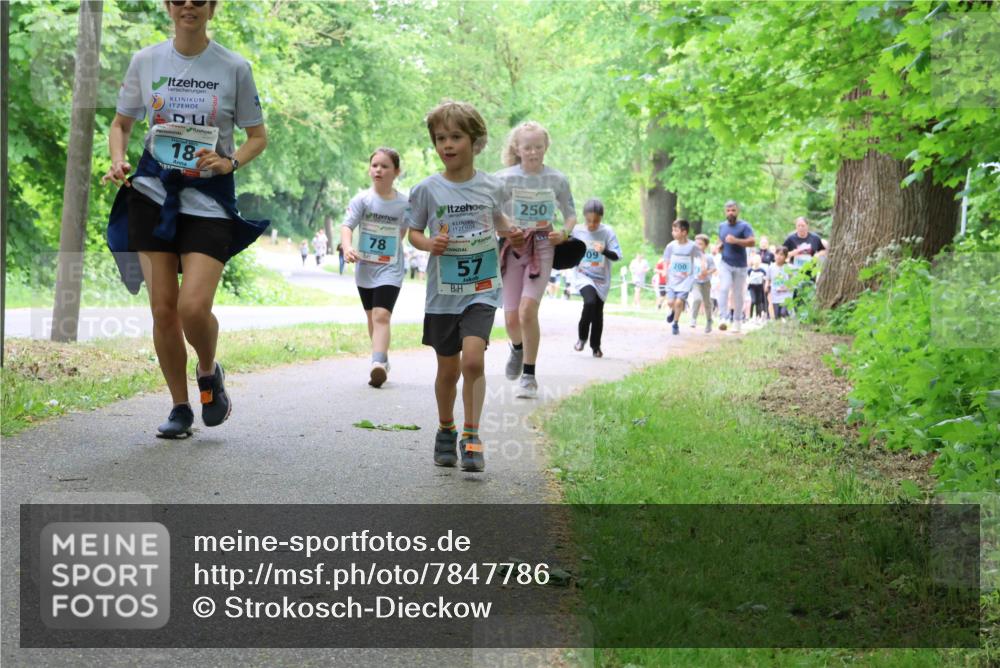 17.05.2025 - Störlauf Strokosch-Dieckow http://msf.ph/oto/7847786 17.05.2025 13:42:38 Laufen 18, 78, 57, 250, 09, 200 meine-sportfotos.de