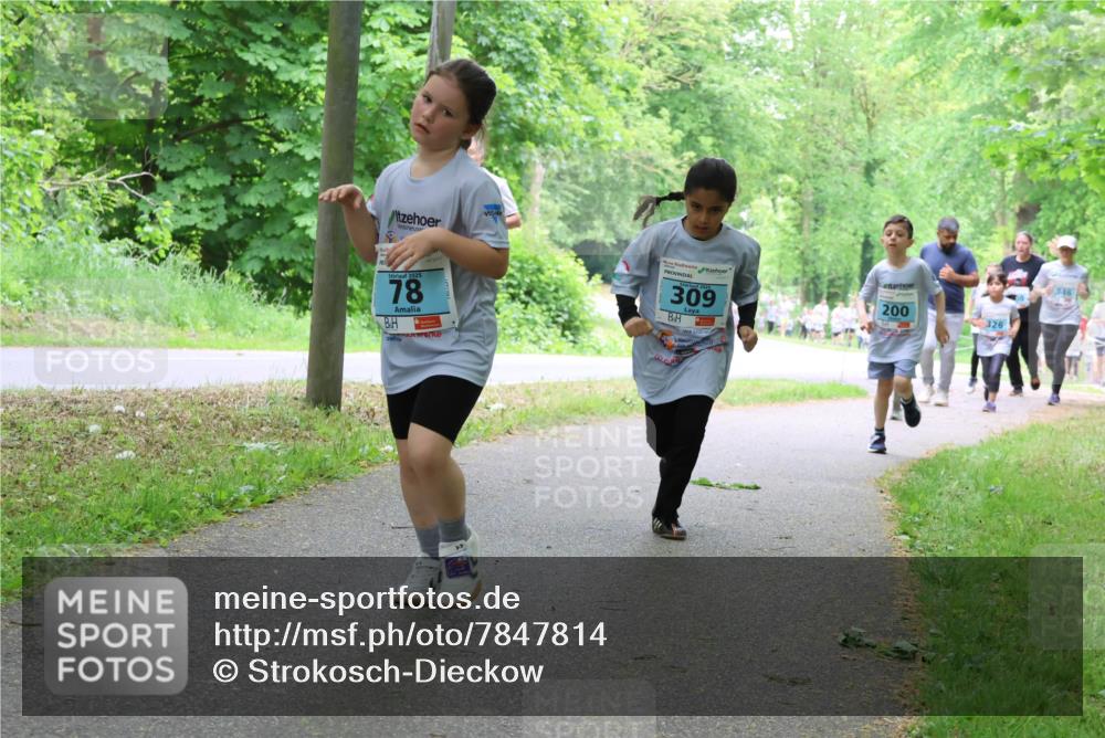 17.05.2025 - Störlauf Strokosch-Dieckow http://msf.ph/oto/7847814 17.05.2025 13:42:43 Laufen 2025, 78, 2025, 309, 200, 326, 346 meine-sportfotos.de