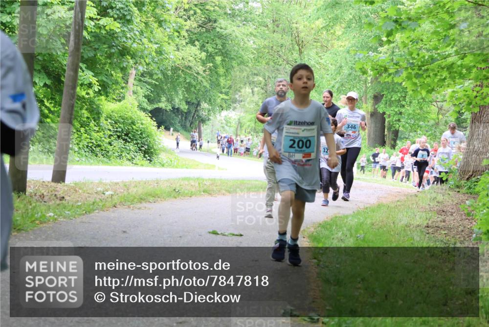 17.05.2025 - Störlauf Strokosch-Dieckow http://msf.ph/oto/7847818 17.05.2025 13:42:45 Laufen 200, 32, 346 meine-sportfotos.de
