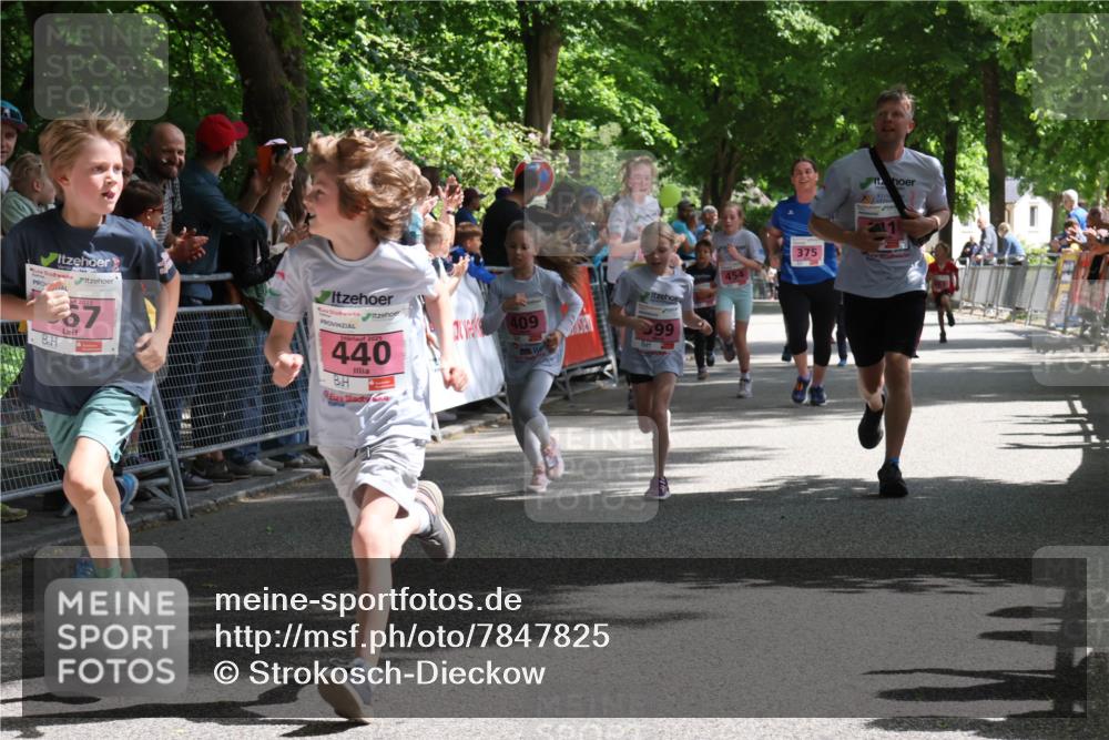 17.05.2025 - Störlauf Strokosch-Dieckow http://msf.ph/oto/7847825 17.05.2025 13:56:47 Ziel 2367, 440, 409, 375, 454, 99 meine-sportfotos.de