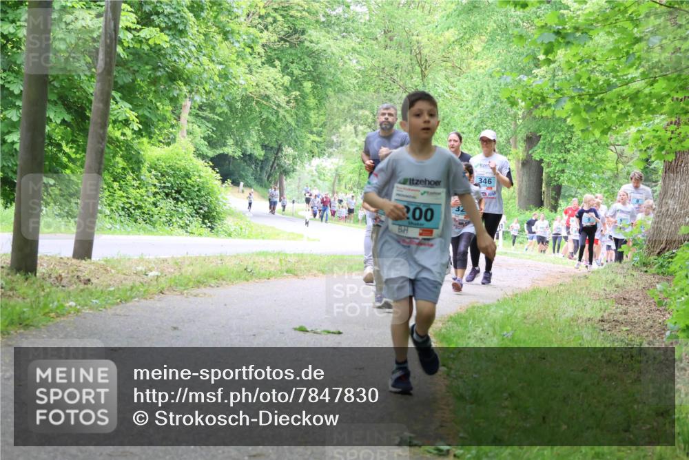 17.05.2025 - Störlauf Strokosch-Dieckow http://msf.ph/oto/7847830 17.05.2025 13:42:45 Laufen 346, 00 meine-sportfotos.de