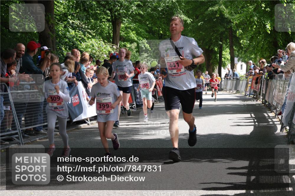 17.05.2025 - Störlauf Strokosch-Dieckow http://msf.ph/oto/7847831 17.05.2025 13:56:48 Ziel 109, 399, 455, 454, 441 meine-sportfotos.de