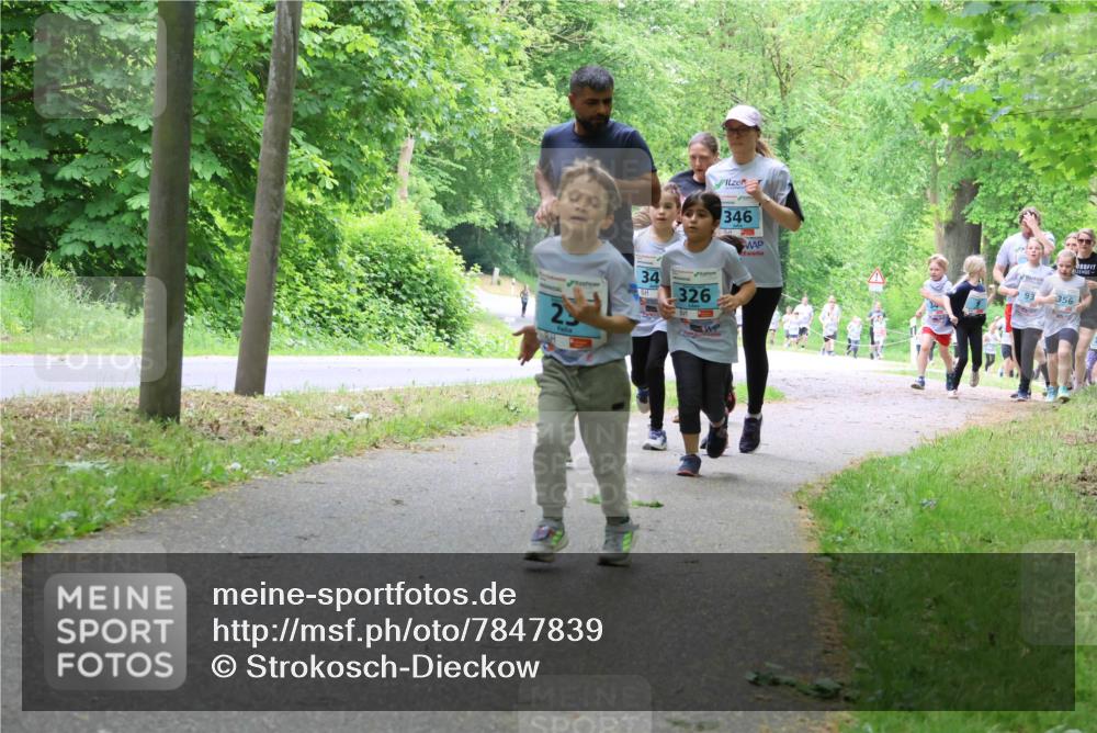 17.05.2025 - Störlauf Strokosch-Dieckow http://msf.ph/oto/7847839 17.05.2025 13:42:47 Laufen 34, 326, 25, 346, 93, 356 meine-sportfotos.de