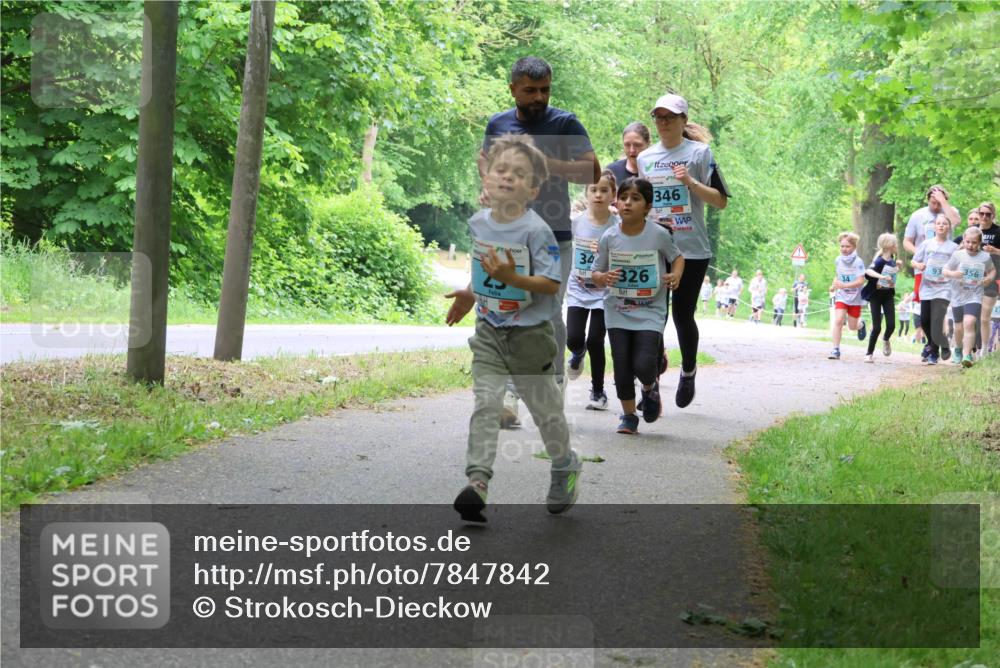 17.05.2025 - Störlauf Strokosch-Dieckow http://msf.ph/oto/7847842 17.05.2025 13:42:47 Laufen 346, 34, 326, 356 meine-sportfotos.de
