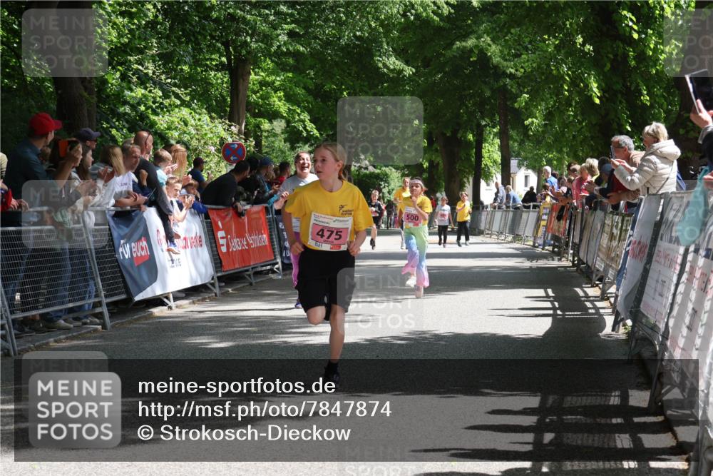 17.05.2025 - Störlauf Strokosch-Dieckow http://msf.ph/oto/7847874 17.05.2025 13:57:00 Ziel 475, 500 meine-sportfotos.de
