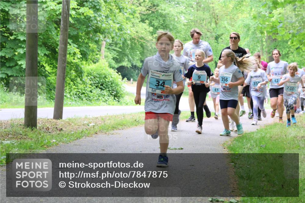 17.05.2025 - Störlauf Strokosch-Dieckow http://msf.ph/oto/7847875 17.05.2025 13:42:53 Laufen 34, 356, 42, 35, 41, 240 meine-sportfotos.de